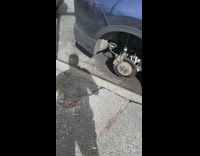Multiple cars parked along the sidewalk with tires stolen
