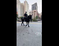 Submitter talks to police officer patrolling on horse 