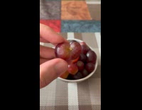 Submitter films weird two grapes attached together