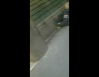 man dressed as trump lays floor