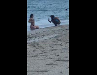 Black bikini girl kneels beach shore guy 