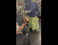Woman holding injured pigeon rides subway