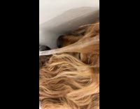 Dog drinks water from sink gets wet