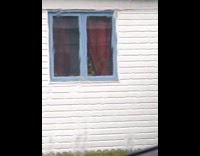 Dog inside house look through window rain