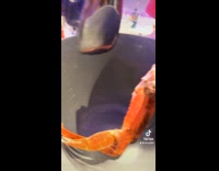 Collab Clips MPUGC - Man trick or treating given crab legs 