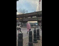 Person walks in vagina costume 