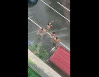 4 people dance with broken hydrant 