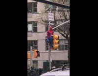 Man Dressed as Spiderman Climbs Stands Next to Street Lights