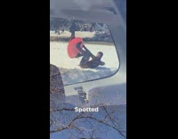 Collab Kook Of The Day - Guy black bodysuit red board spotted snow