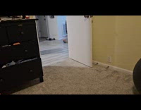 Dog loves to play with plastic bottle