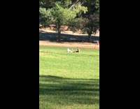 Woman lie down sideways stretch feet park Part 2