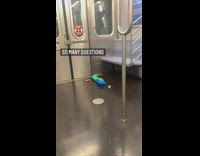 Water gun and vapes on train floor 