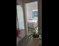 Cat relaxing in bed as owner cooks