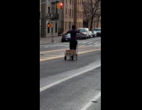 Man riding down on trolley with arms stretched