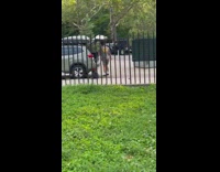 Guy plays music from car trunk 