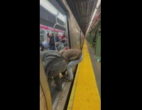 Collab WINY - Men Pull Out Wooden Beam from Train