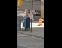 Man walks with pet dog standing on shoulders