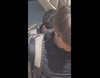 Lizard on the shoulder of the filmers friend