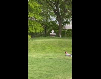 DJ Plays Music for People in Park 