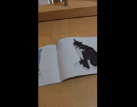 Guy shows off cat lego toy