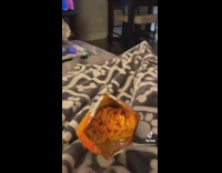 Girl gives white dog cheeto and it chews it loudly