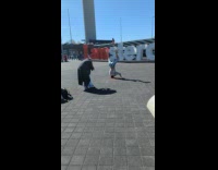 Woman headstand and twerks front of sign