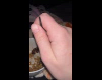 Orange cat attack woman eat on sofa