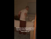 Man uses oven mitts dog