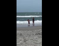 Woman animal print bikini kneel sit beach