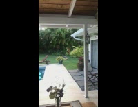 Guy sees dog humping toy in backyard 