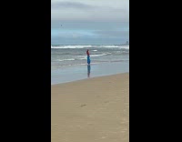 Collab IITW - Woman red top raise hands on beach