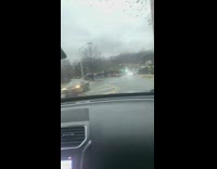 Woman drive car orange cat on lap