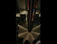 Cat confused with multiple reflections mirror cabinet