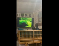 [third party - video] Kids watching jumpscare video