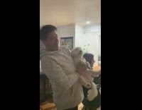 Pet dog carried and sings Happy Birthday