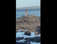 Woman in brown bikini at the beach rocks
