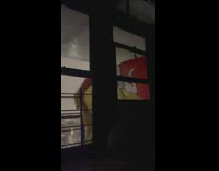 Strong hurricane wind blows flag hard 