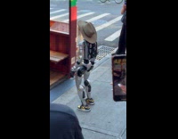 Rizzbot passing by restaurant with security