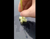 Satisfying plant stem curling