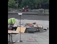 Guy on covered water fountain unicorn doll