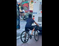 Collab WINY - Man ride bike bird on head dog on basket