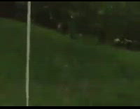 Friend Dares Friend in Grey Shirt to Climb Rope Tied to Tree, It brekas