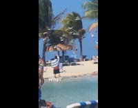 Guy feeds seagulls while taking photo