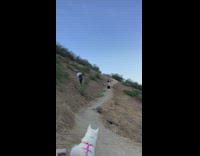 Black dress white apron girl sings mountain 