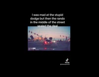 Collab VIBES - Driver angry with another driver and pedestrian