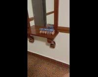 Guy saw eggs inside apartment at lobby in NYC 