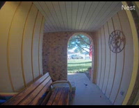 Cat chase catch bird front door camera