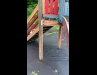 Man taught dog to use slide at park