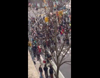 Large group of cyclists race on street