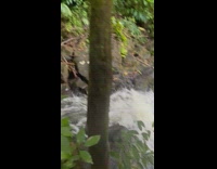 Small but strong waterfalls view from the top